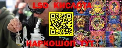 дживик Моздок
