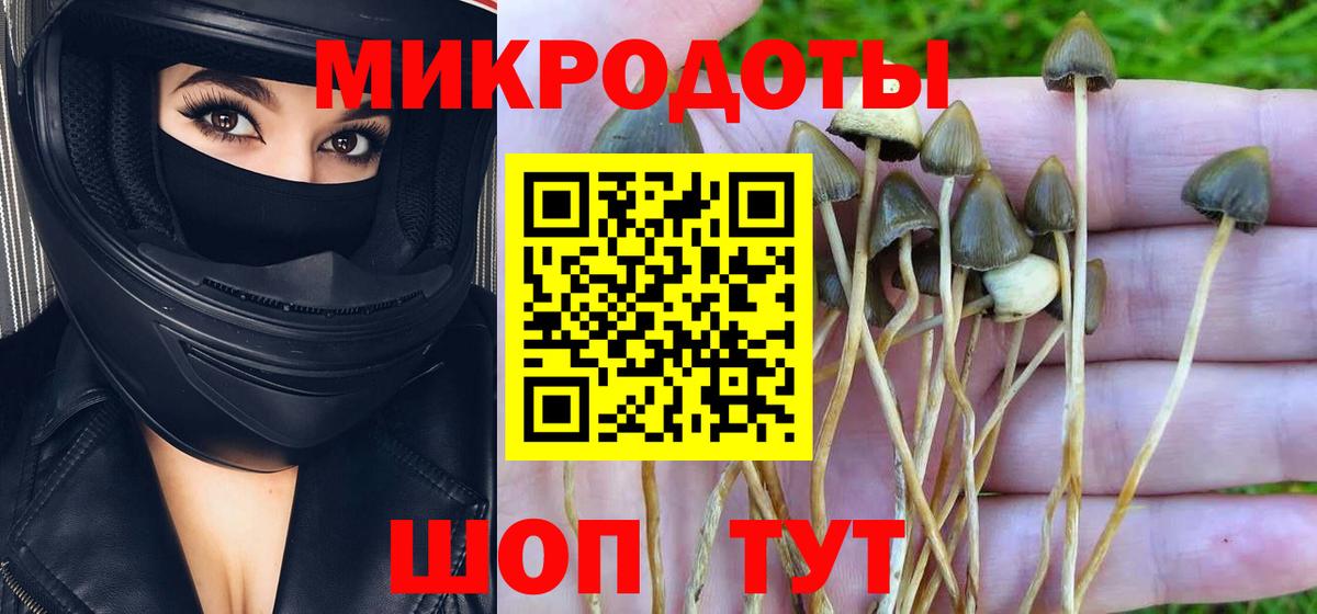 Галлюциногенные грибы мухоморы Чита