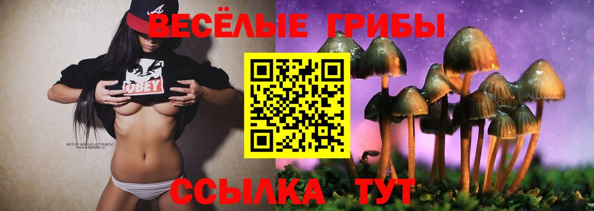 Чита  Псилоцибиновые грибы GOLDEN TEACHER  Вход с VPN 